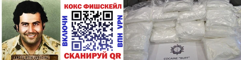продажа наркотиков  Гусь-Хрустальный  COCAIN FishScale 