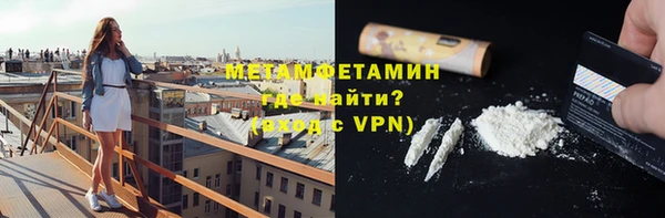 твердый Гусев