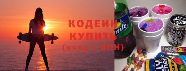 твердый Гусев