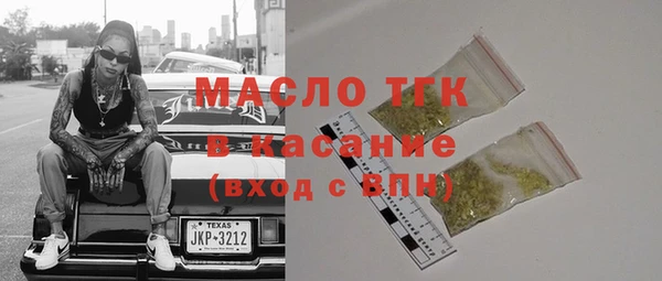 твердый Гусев