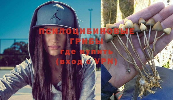 винт Гусь-Хрустальный