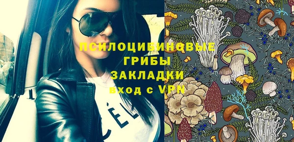 винт Гусь-Хрустальный