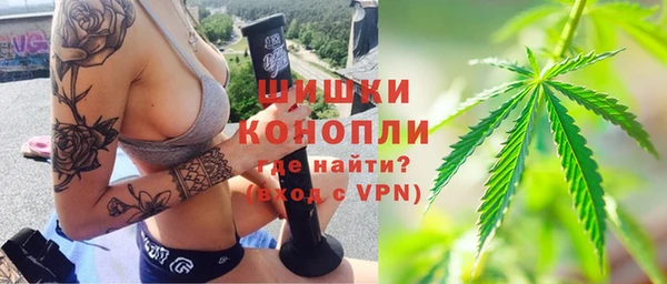 твердый Гусев