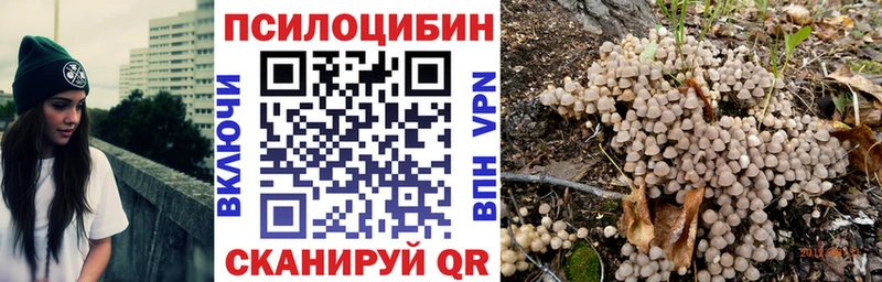 сколько стоит  Гусь-Хрустальный  Псилоцибиновые грибы прущие грибы 